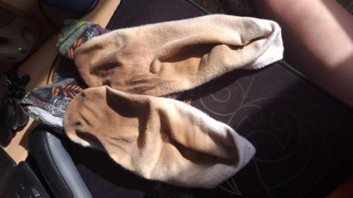 Used Socks Wanted! in Renfrew - Image 1