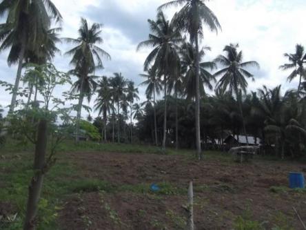 VALENCIA LAND FOR SALE , NEGROS ORIENTAL in Quezon City - Image 1