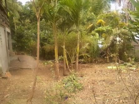 VALENCIA NEGROS ORIENTAL LOT FOR SALE in Cebu City - Image 1