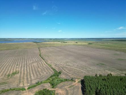 VENDO 114 HECTÁREAS – DEPARTAMENTO DE ITAPÚA, PARAGUAY en Coronel Bogado - Imagen 5