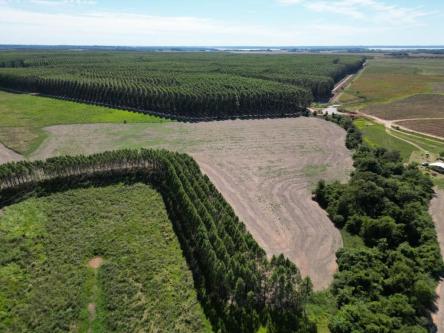 VENDO 114 HECTÁREAS – DEPARTAMENTO DE ITAPÚA, PARAGUAY en Coronel Bogado - Imagen 7