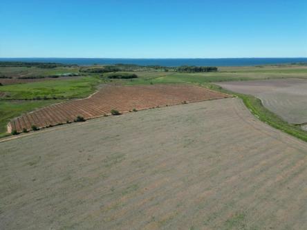VENDO 114 HECTÁREAS – DEPARTAMENTO DE ITAPÚA, PARAGUAY en Coronel Bogado - Imagen 3