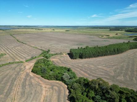 VENDO 114 HECTÁREAS – DEPARTAMENTO DE ITAPÚA, PARAGUAY en Coronel Bogado - Imagen 6