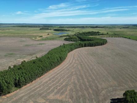 VENDO 114 HECTÁREAS – DEPARTAMENTO DE ITAPÚA, PARAGUAY en Coronel Bogado - Imagen 10