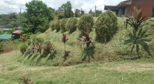 VENDO BELLO LOTE EN CONCEPCIÓN DE SAN RAMÓN. en San Ramón - Imagen 6
