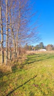 VENDO PARCELA 5.100 m2, CON CASA EN CONSTRUCCION Y ROL PROPIO en Villarrica - Imagen 3