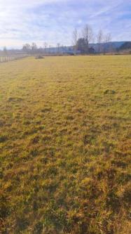 VENDO PARCELA 5.100 m2, CON CASA EN CONSTRUCCION Y ROL PROPIO en Villarrica - Imagen 6