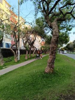 VENTA APARTAMENTO BARRIO SANTA ROSITA BOGOTA en Bogotá - Imagen 10