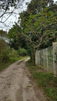 VENTA DE TERRENO RÚSTICO EN RANCHO VIEJO, EMILIANO ZAPATA en Emiliano Zapata - Imagen 2