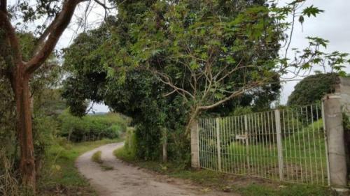 VENTA DE TERRENO RÚSTICO EN RANCHO VIEJO, EMILIANO ZAPATA en Emiliano Zapata - Imagen 13