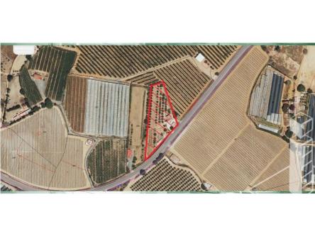 VENTA - FINCA RUSTICA - P.259 en Lepe - Imagen 1