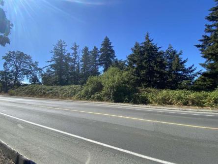 Vacant Lot for Sale (Blue Ridge Pl/Helmcken Rd) in Saanich - Image 1