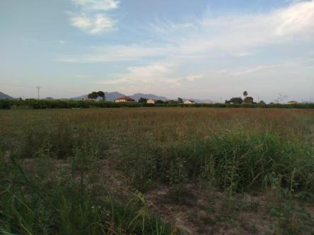Venta de Local en Murcia - Imagen 1