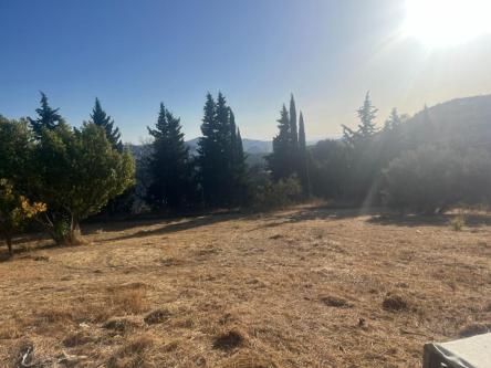 Venta de Quinta en Rute en Lucena del Puerto - Imagen 1