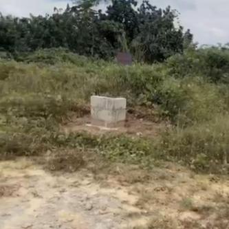 Vente de terrain de 400 m² à Bassam motobé à Touba - Photo 2