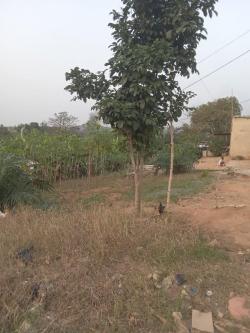 Vente maison plus espace à Abidjan - Photo 4