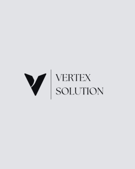 Vertex Solution – Digital Marketing & Web Development Agency in Vaishali Nagar - Image 1
