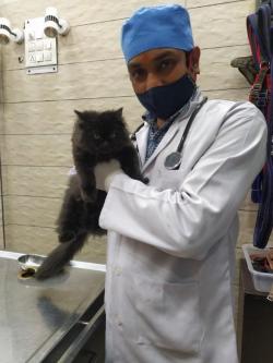 Veterinary Practice In Noida Sector 104 in Noida - Image 1