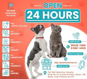 Veterinary Practice In Noida Sector 104 in Noida - Image 6
