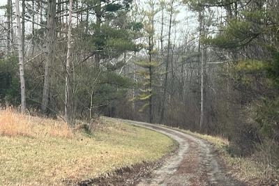 W Prospect Rd in Cincinnati - Image 1