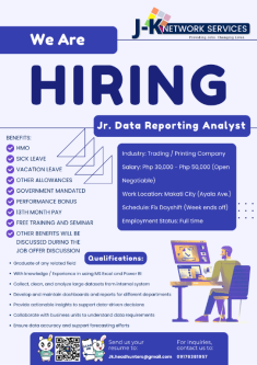 WE ARE HIRING Junior Data Reporting Analyst in Tatalon - Image 1