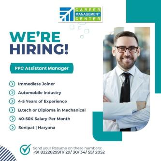 WE’RE HIRING – PPC Assistant Manager (Automobile Industry) in Kirari Suleman Nagar - Image 1
