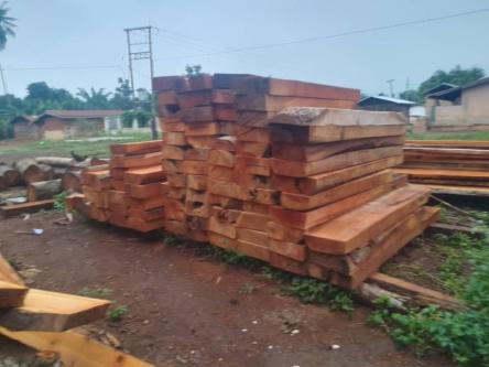 WOODS FOR SALES in Tema - Image 1