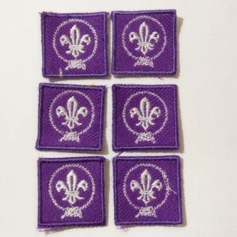 WOSM Embroidery Pandu Putra Embroidery 2.5 CM Premium Model … in Petaling Jaya - Image 1