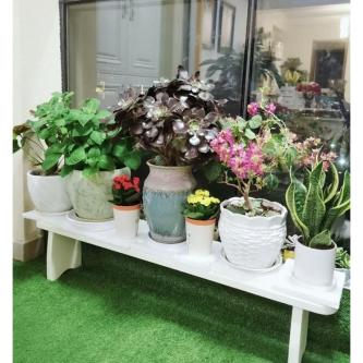 Waterproof Outdoor Garden Rack Flower Plant Rack Decoration … in Singapore - Image 1
