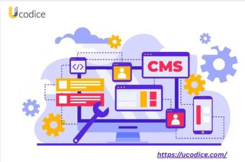 Web Development Services in India – Ucodice Technologies in Noida - Image 1