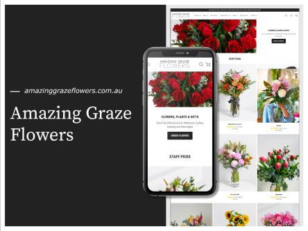 Website Development | Mobile App Development | Digital Marketing in Mohali - Image 6