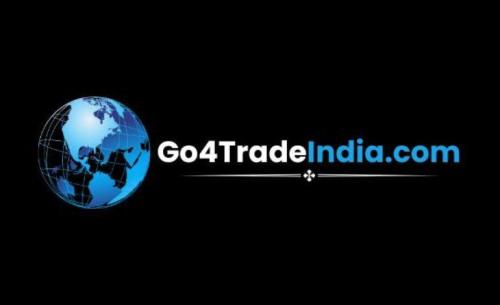Website Development Service In India in Pitampura - Image 1