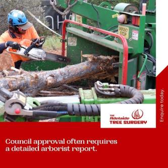 When Approval Matters, Accuracy Counts in Wayville - Image 1