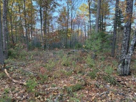 Whittier Rd Lot,farmington, Plot For Sale in Bangor - Image 1