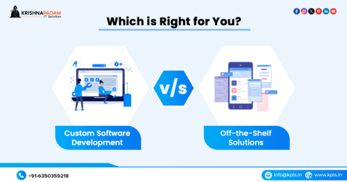 Why Custom Software Development is Essential in 2025 A Guide in Jaipur - Image 2