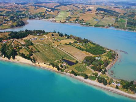 Windhover Suites in New Zealand - Image 1