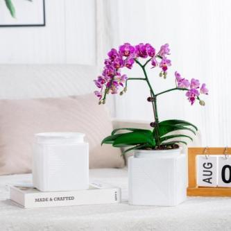 YANN Flower Pot, Cotton Rope Double Layer Self Watering … in Singapore - Image 1