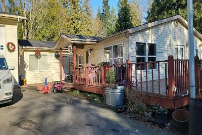 Yellow Brick Rd in Bellingham - Image 1