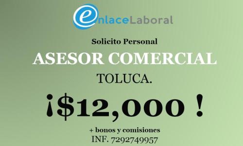 asesor comerciaal en Toluca - Imagen 1