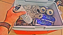 Configuración de la cuenta