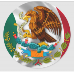 Configuración de la cuenta