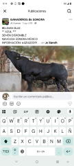 Configuración de la cuenta