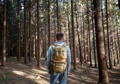Account-Einstellungen