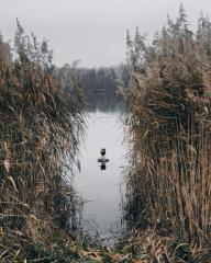 Account-Einstellungen