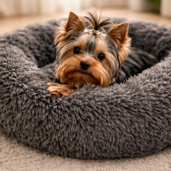 Configuración de la cuenta