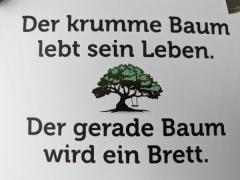Account-Einstellungen