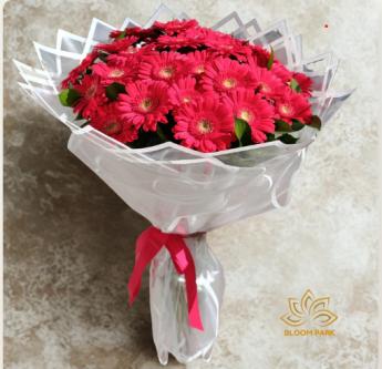 bloomparkflower in Aligarh - Image 1