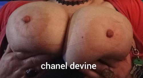 chanel devine waitara in New Plymouth - Image 5