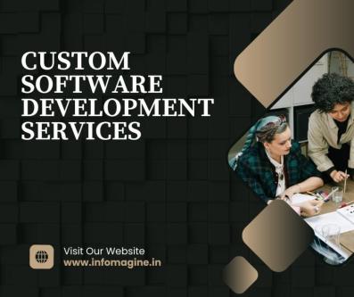 custom software development services in Bani Park - Image 1