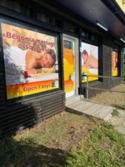 lpswich Begonia Relax Massage Ebbw Vale in Ipswich - Image 3
